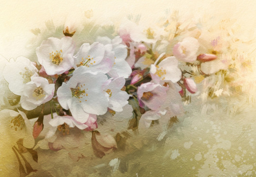 1021544 (a): :3000x2075